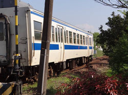 13100705_1103225813081860_1712790970113450849_n