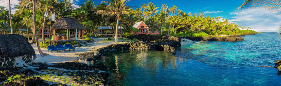 Moohn Travel - south pacific islands sea palm trees