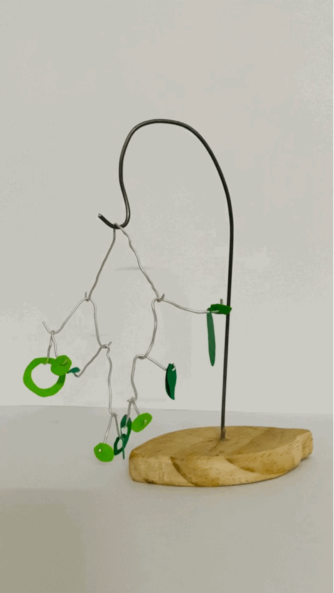 Flynn RAINFORD MULLEN.GIF