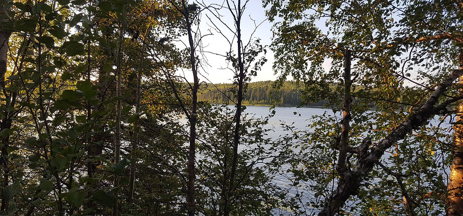 20170805_203509.jpg