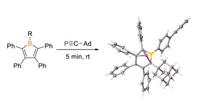 Reactivity of a Phosphaalkyne with Pentaarylboroles. 
