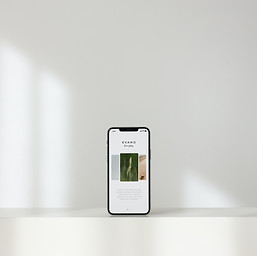 sarah-dorweiler-Rv2kTIuya_I-unsplash.jpg