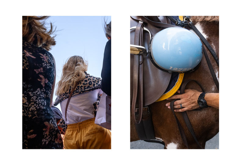diptych, street photography, conceptual street photography, abstract, abstraction, color, police horse, new york, nyc