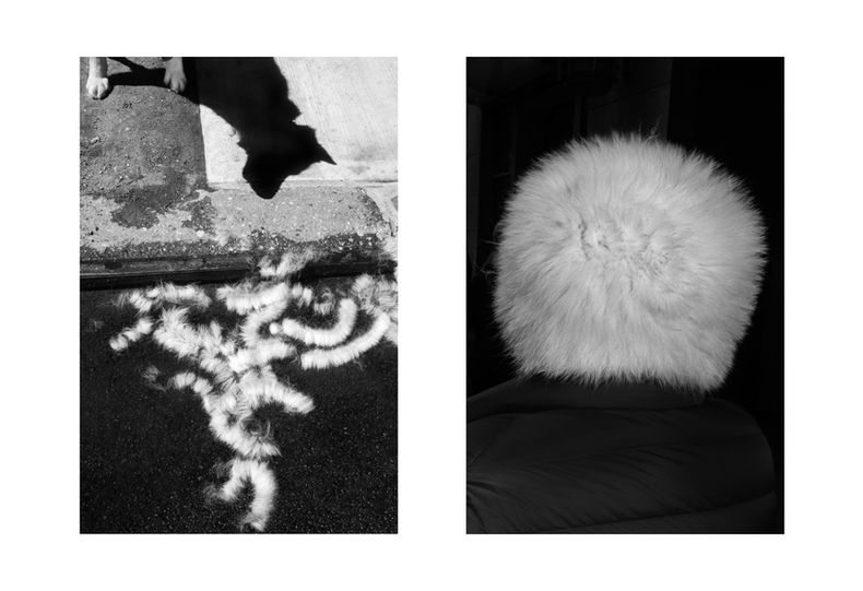 diptych, street photography, conceptual street photography,