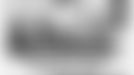 Records històrics. 1984, un sotscampionat d’Espanya únic