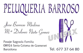 peluqueria barroso