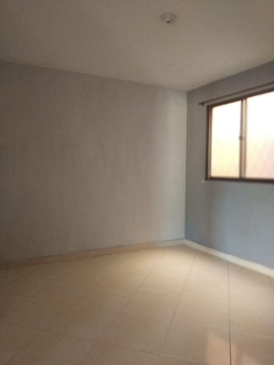 Miniatura: OPORTUNIDAD DE INVERSION EN NIQUIA CAMACOL