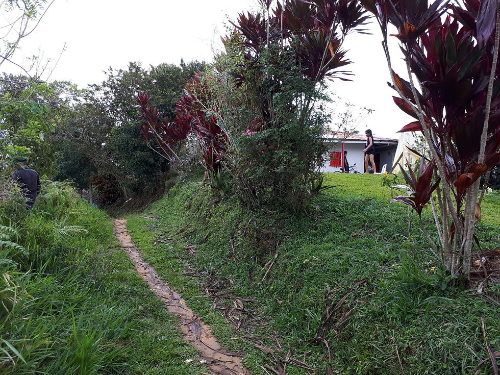 Miniatura: FINCA EN SAN ROQUE, CON MÁS DE 7000 PALOS DE CAFÉ. ¡PRODUCTIVA TIERRA!