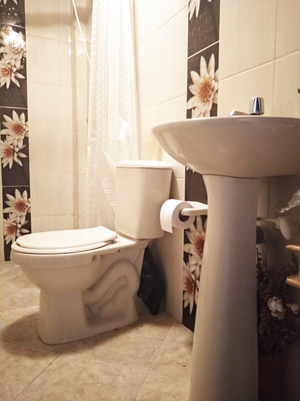 Miniatura: CASA EL NIQUIA PARTE MEDIA