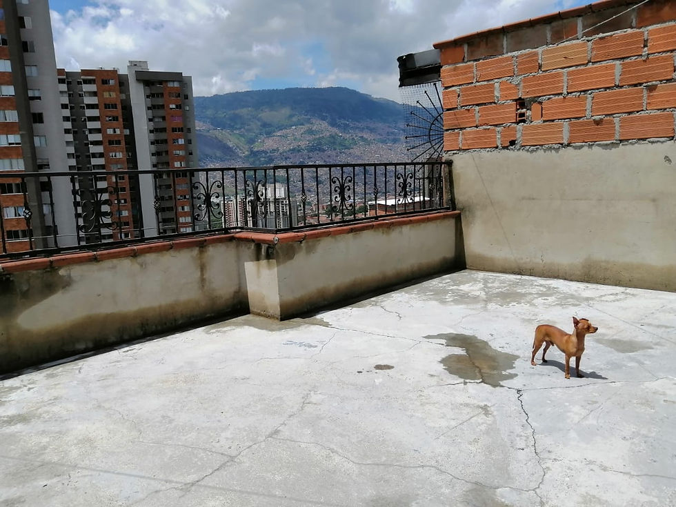 Miniatura: CASA CON TERRAZA EN SAN SILVESTRE. OPORTUNIDAD PARA CONSTRUIR.