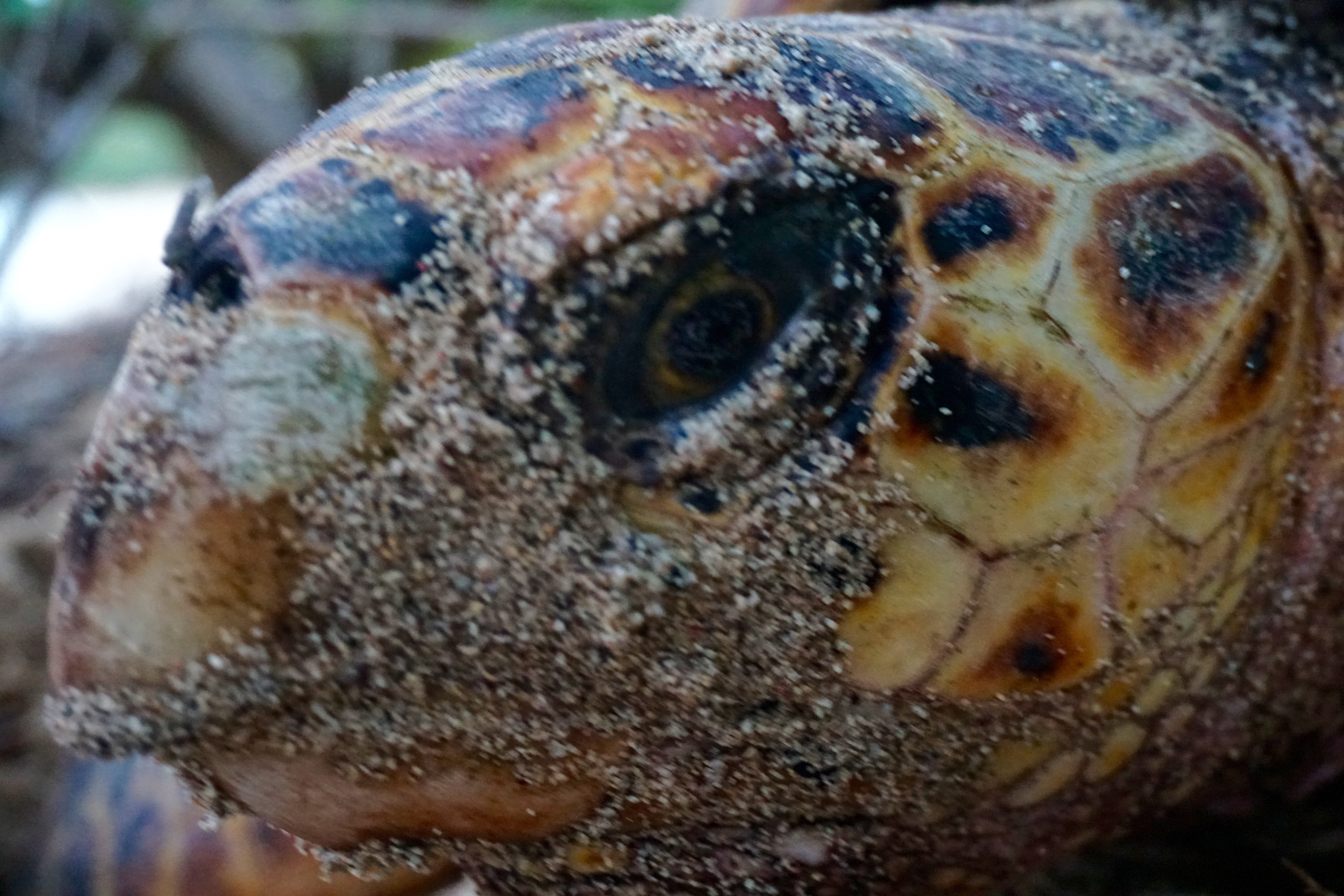 DSC02099
