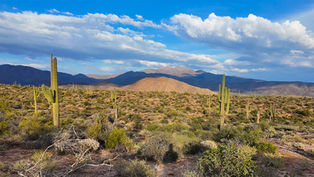 A Quiet Escape into the Arizona Desert: Exploring the Four Peaks Wilderness Area