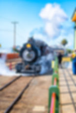 Skunk Train Arriving