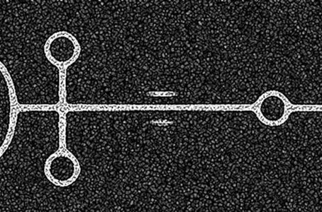 Algol - Should we really be so scared of it?