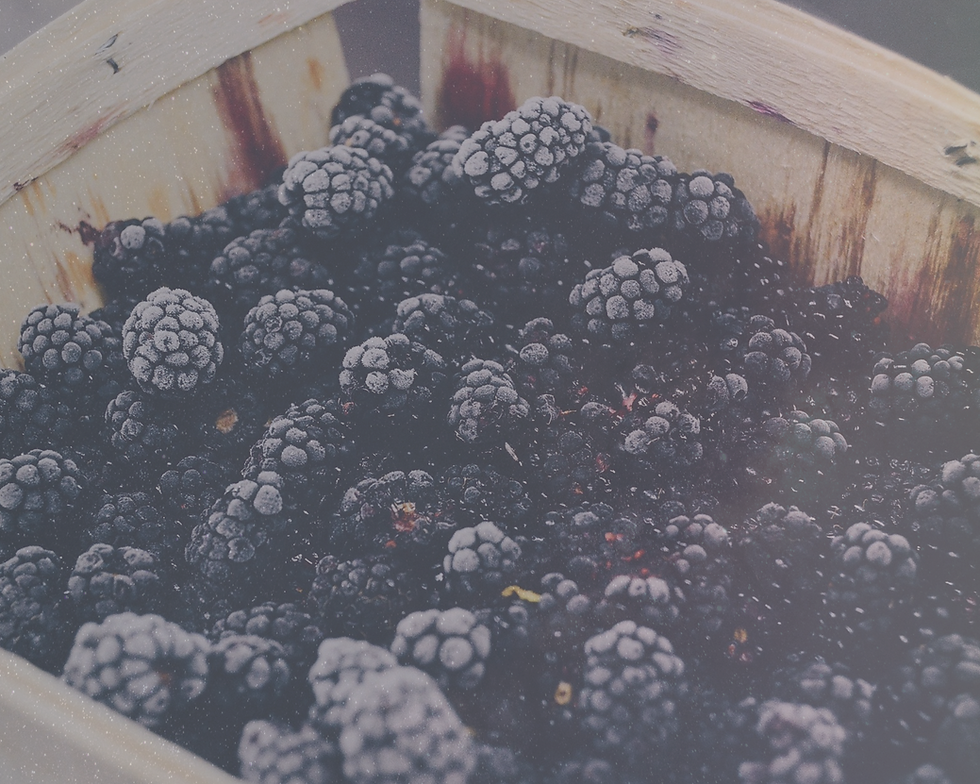 MAGIC+BERRY+PHOTO_edited.png