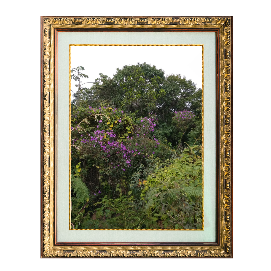 Fresh Diversity | Diversidade Fresca