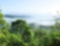 amazonia-RECADRE.jpg