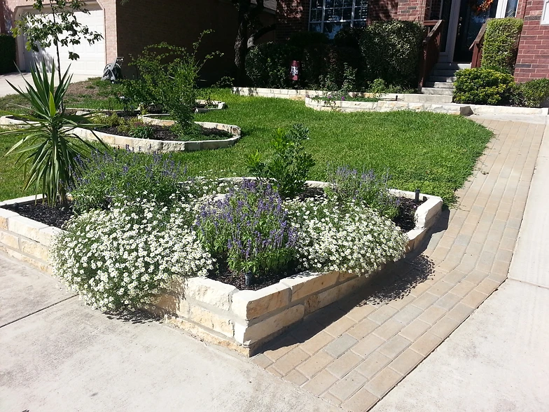 the yard man san antonio texas landscaping design gallery