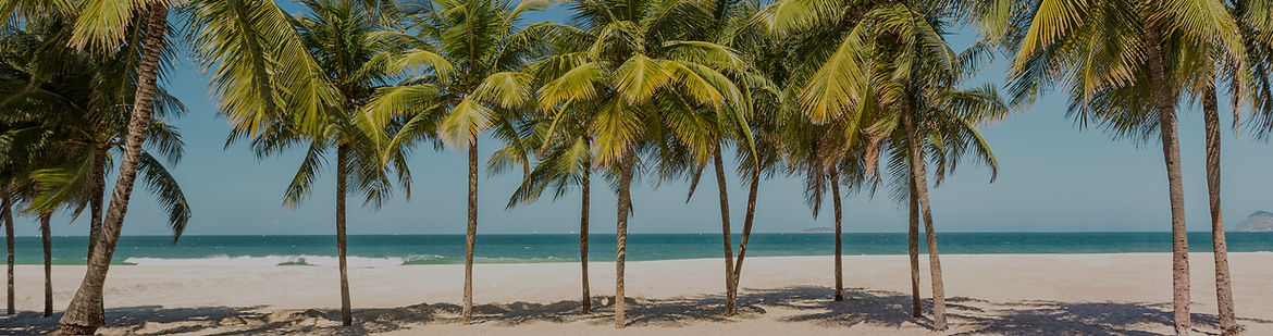 Beach With Palms_edited_edited_edited.jp