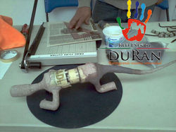 RED ESTATAL DURAN