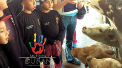 RED ESTATAL DURAN