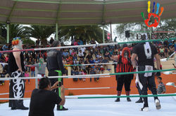 RED ESTATAL DURAN