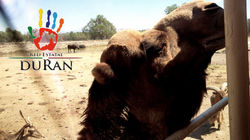 RED ESTATAL DURAN
