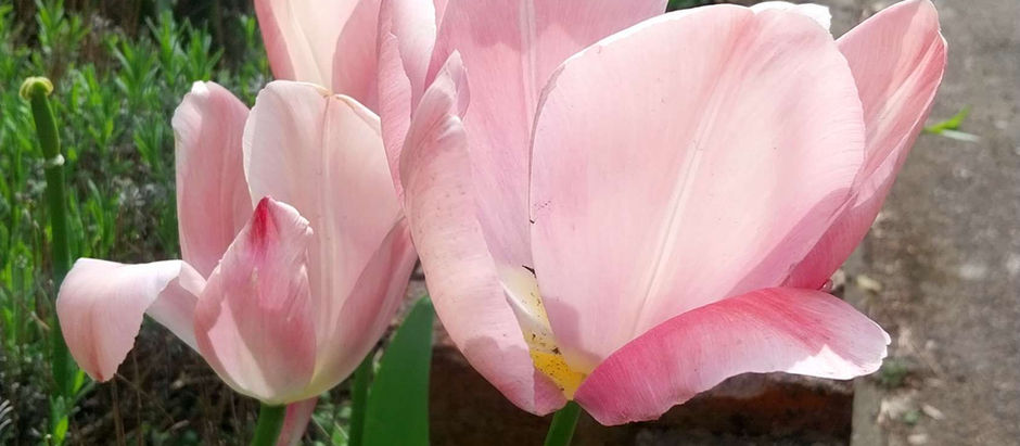 April blog post