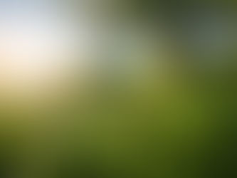Le pouvoir du silence face aux tempĂŞtes de la vie