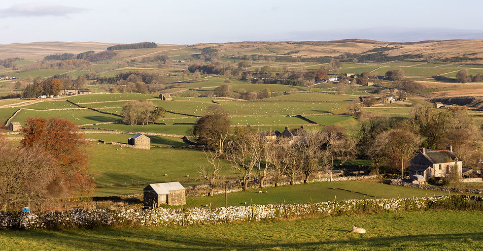 Countryside_edited.jpg