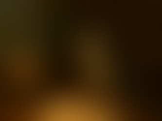 A Volunteer's Journal: Week One