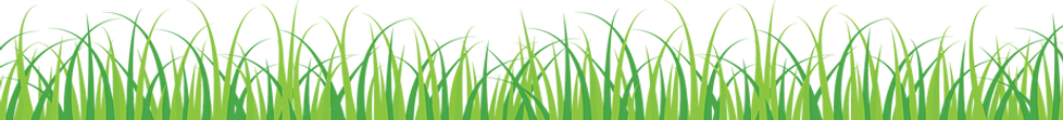 grassforwebpage.png