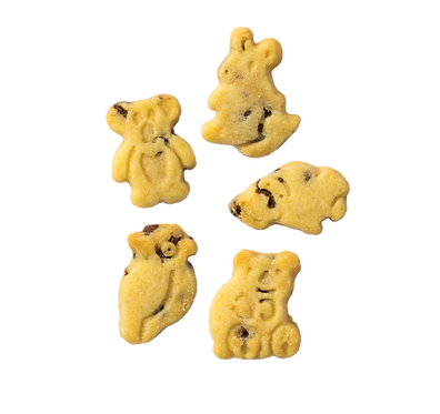 Animal+Shapes+Shop+Image copy.png