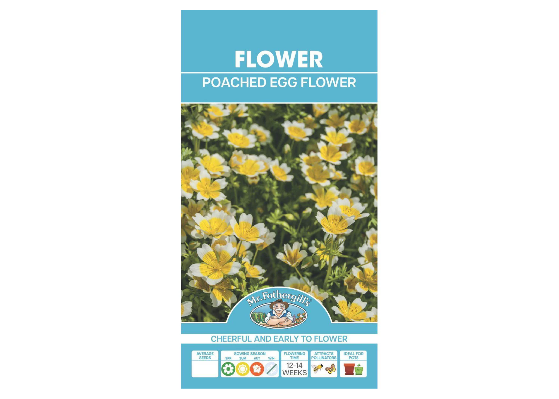 Poached Egg Flower SEEDS