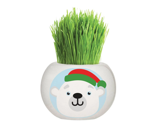 Thumbnail: Mr Fothergills Grass Hair Kits