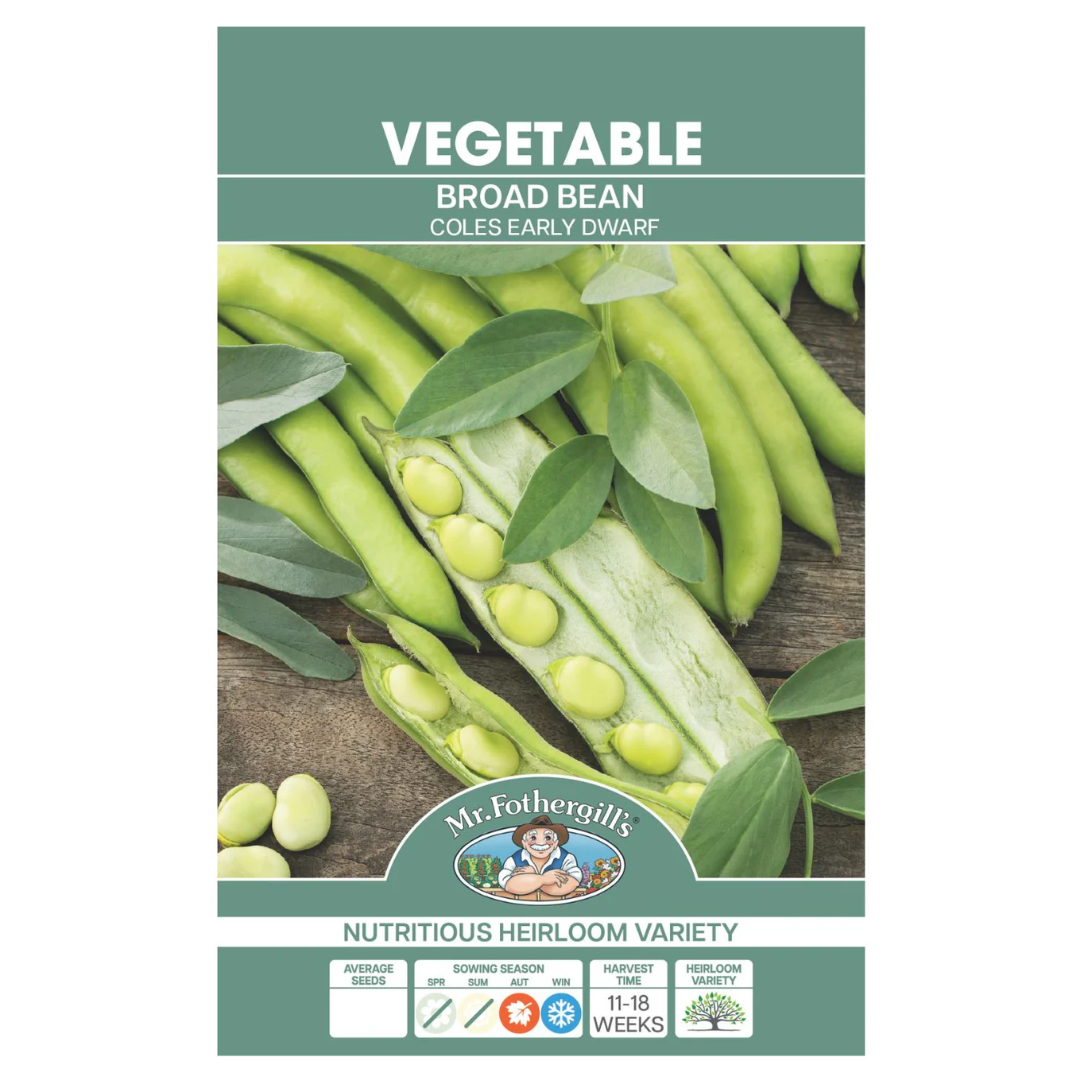 Broad Bean Coles Early Dwarf SEEDS