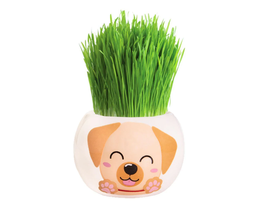 Thumbnail: Mr Fothergills Grass Hair Kits