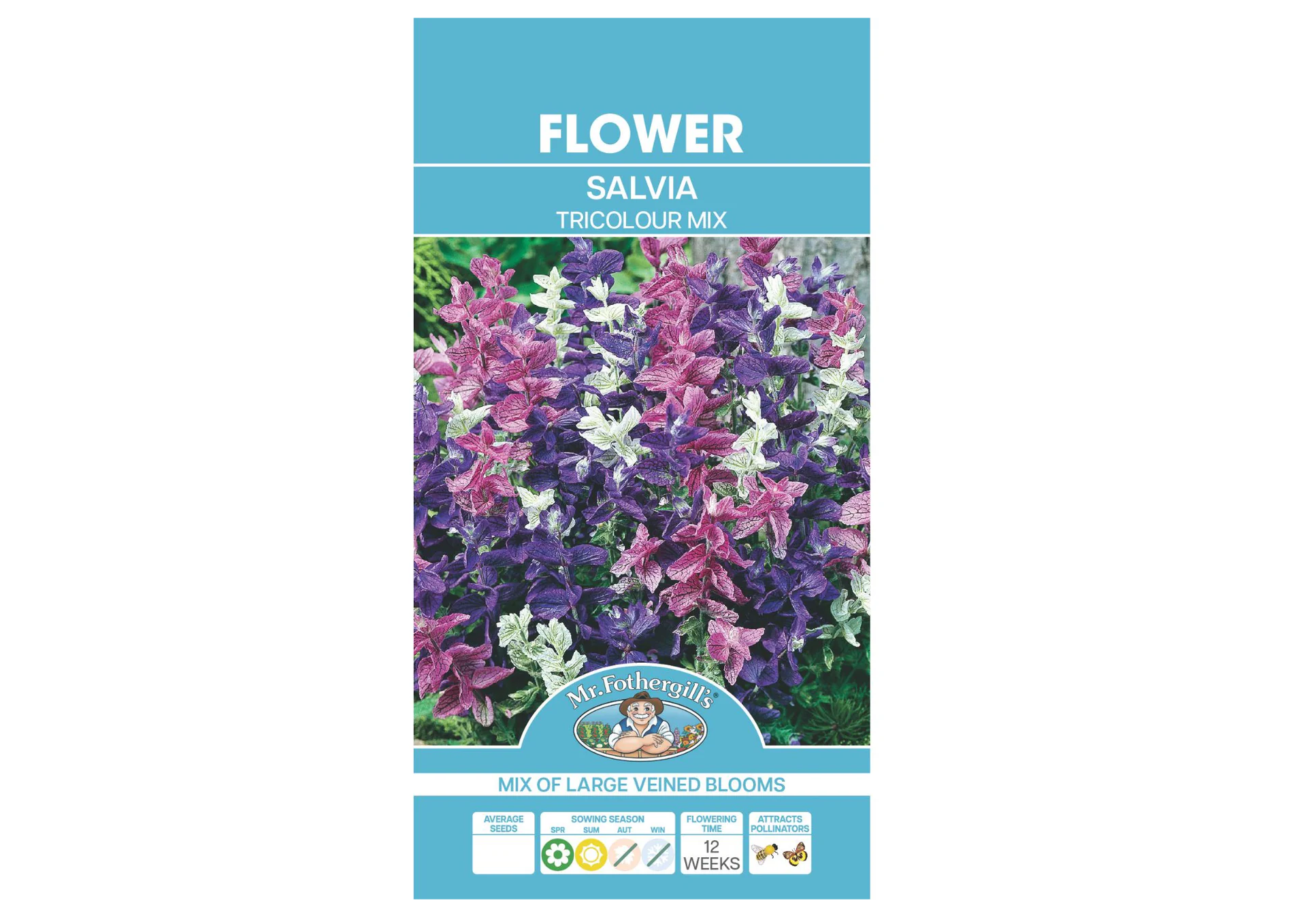 Salvia- Tricolour Mix SEEDS