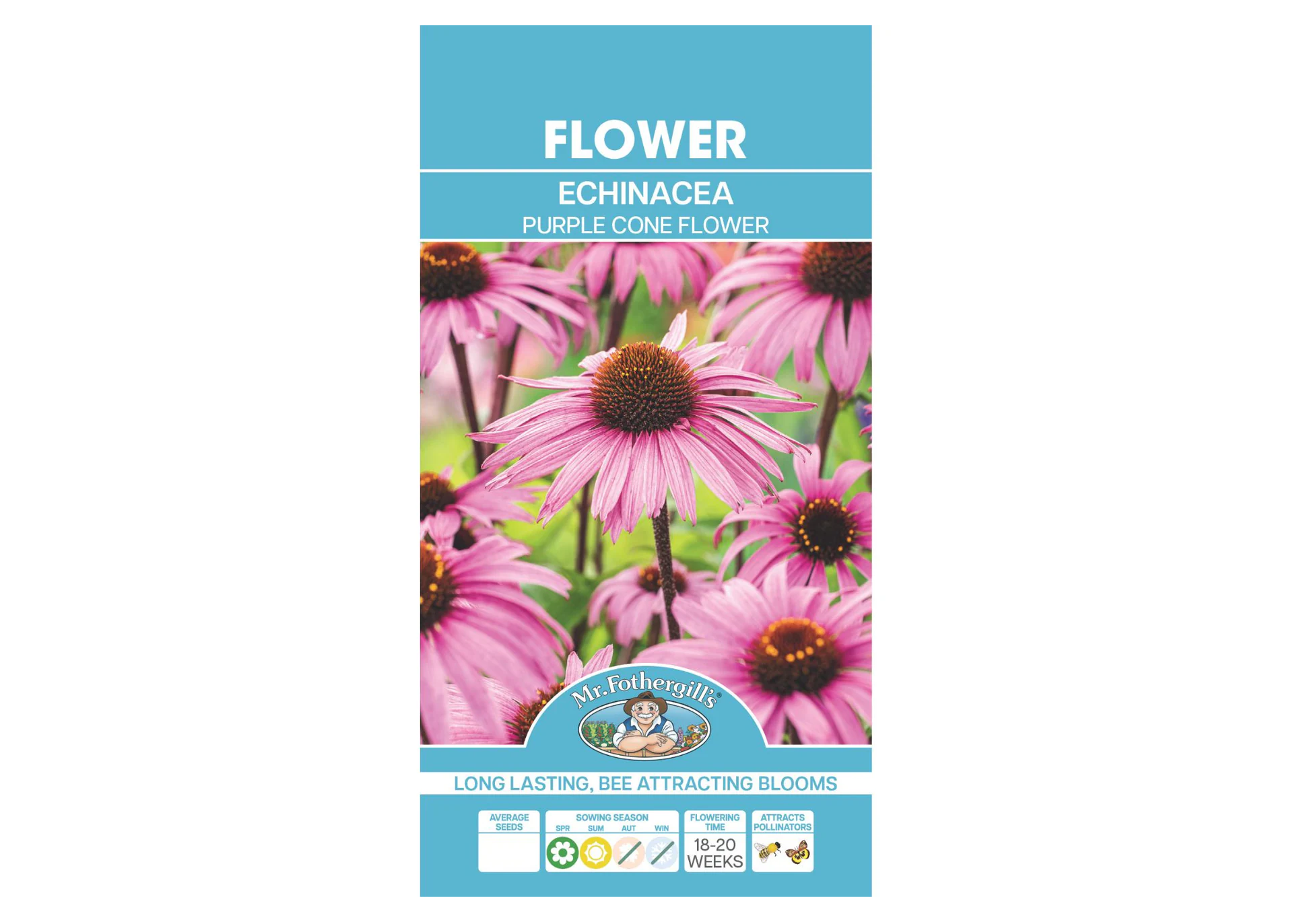 Echinacea- Purple Cone SEEDS
