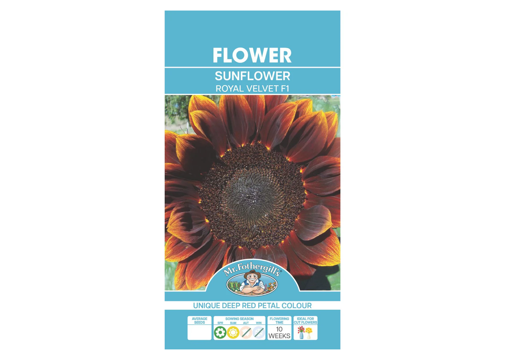 Sunflower - Royal Velvet F1 SEEDS