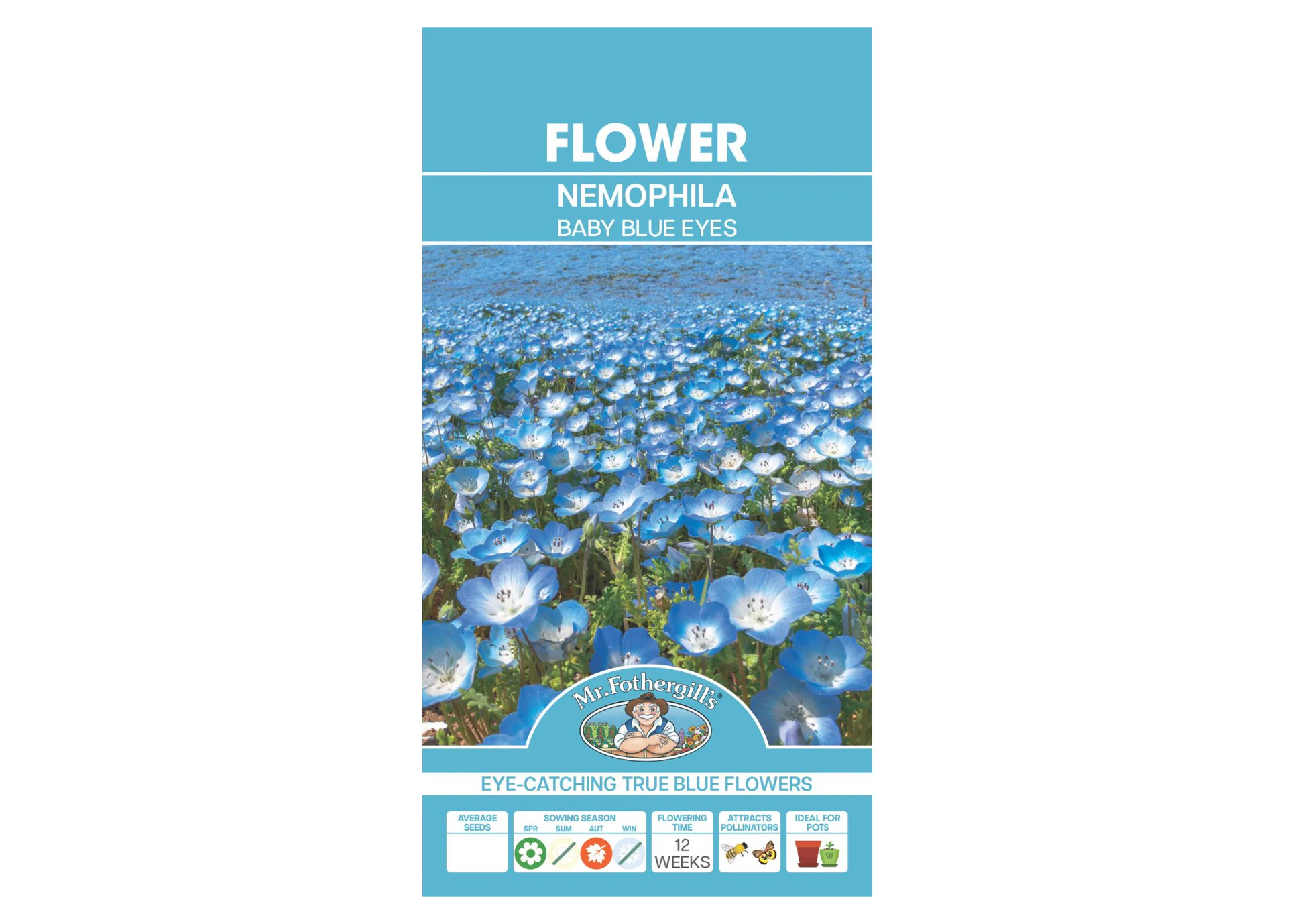 Nemophila - Baby Blue Eye SEEDS
