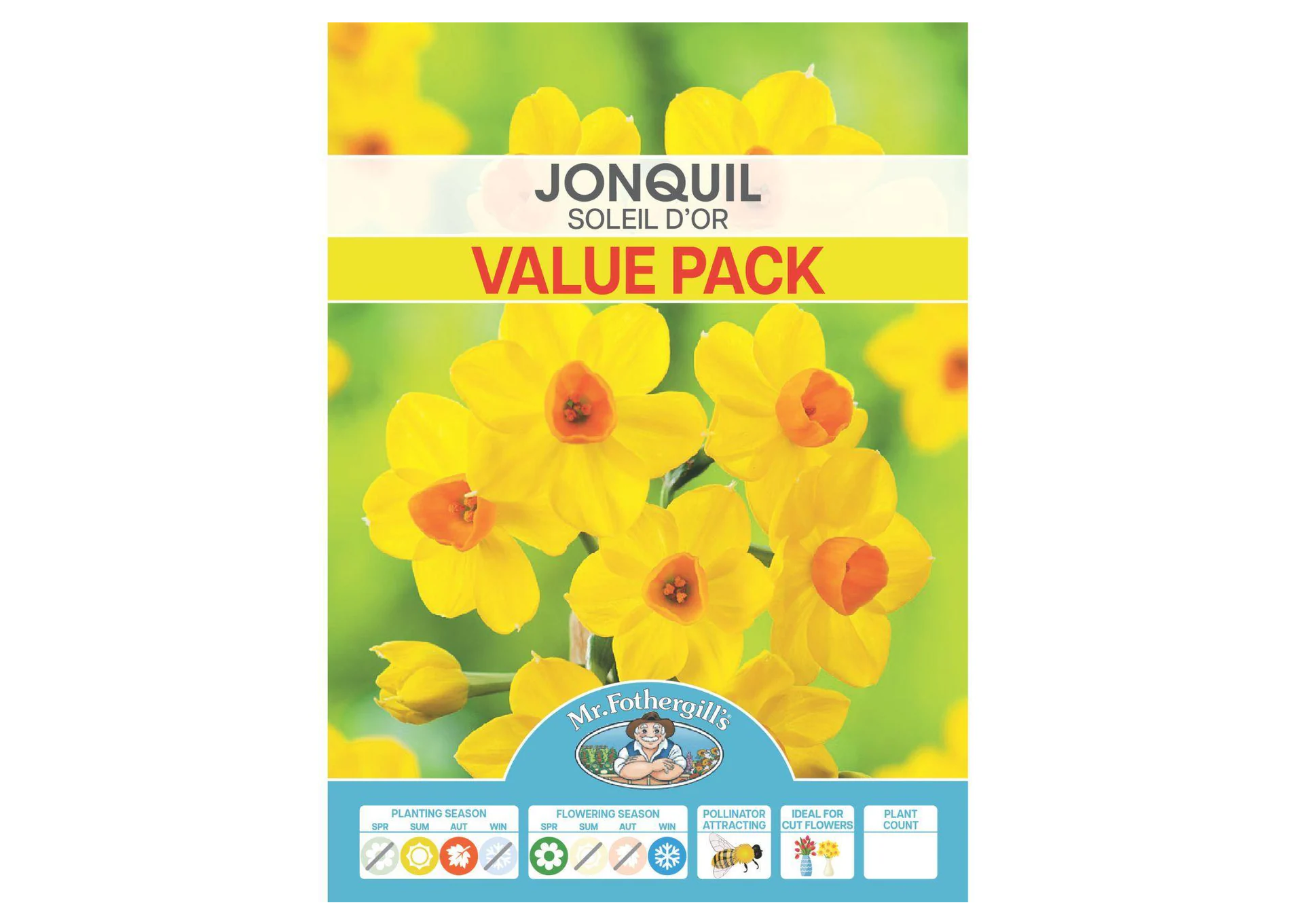 Jonquil - Soleil d'Or BULBS (Value Pack)