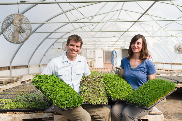 Robinette Farms Local Food Subscription Box Nebraska