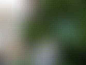 6月19日(火)の練習日誌