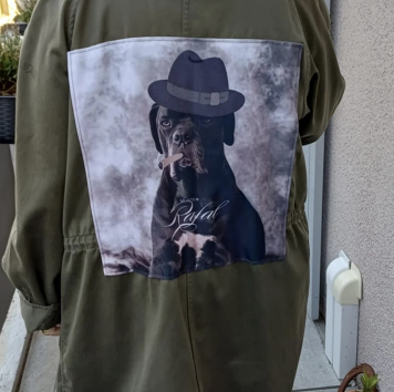 veste militaire visuel chien