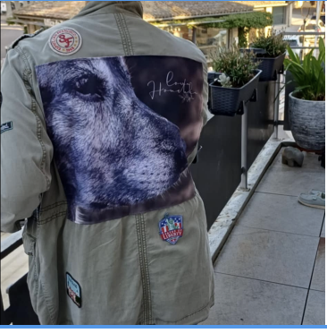 veste militaire visuel chien