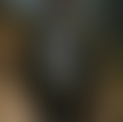 Veste noire personnalisée avec illustration de tigre au dos pour un look original.