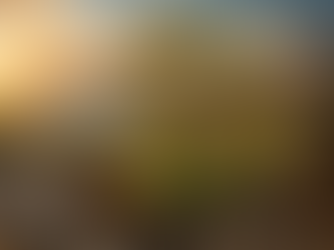 The Plant So Valuable It Was Harvested to Extinction