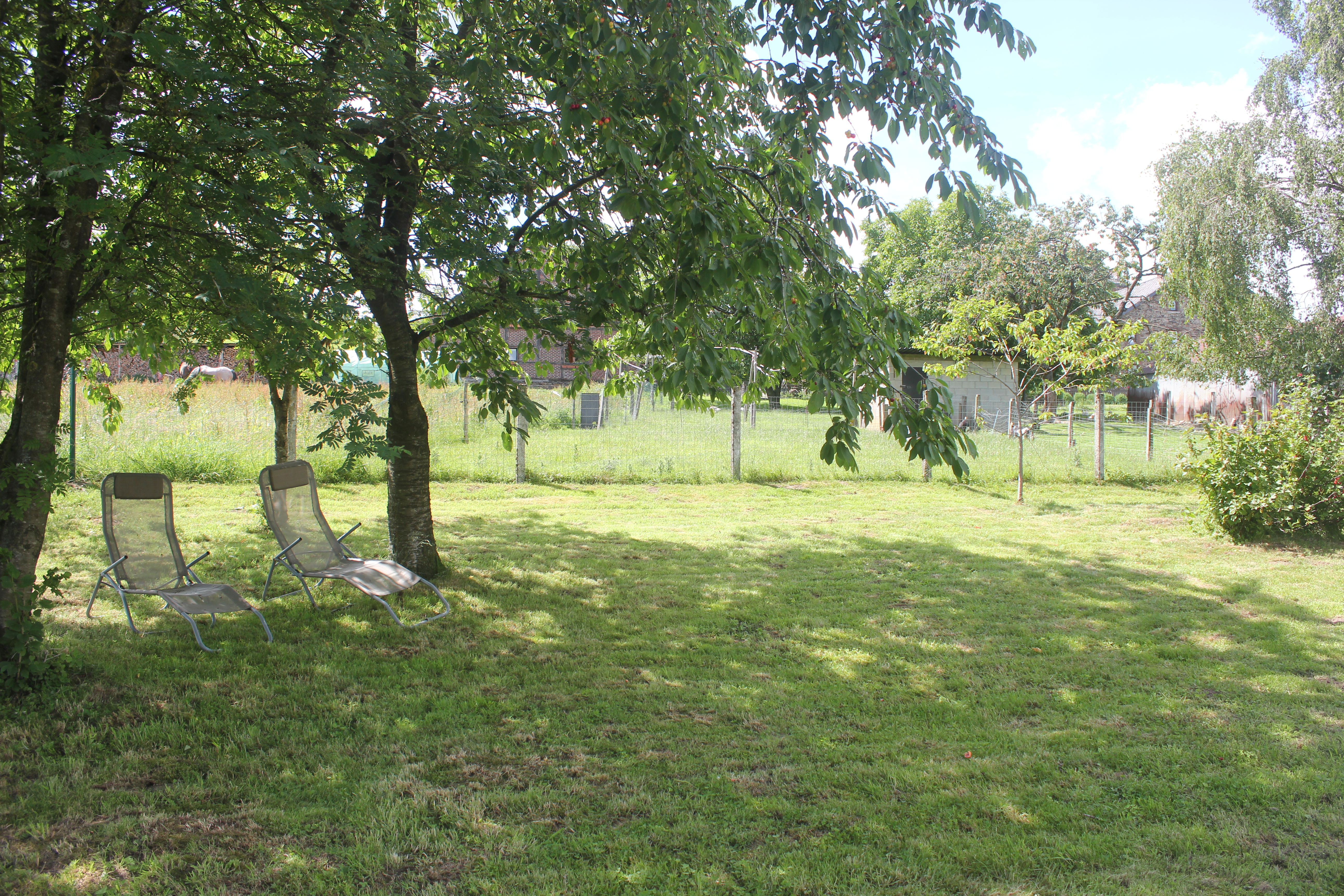 Jardin