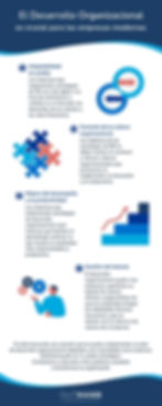 Desarrollo Organizacional